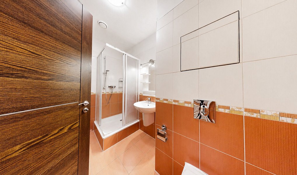 Prodej bytu 1+kk 44 m², Karlovy Vary – náhled fotky 10