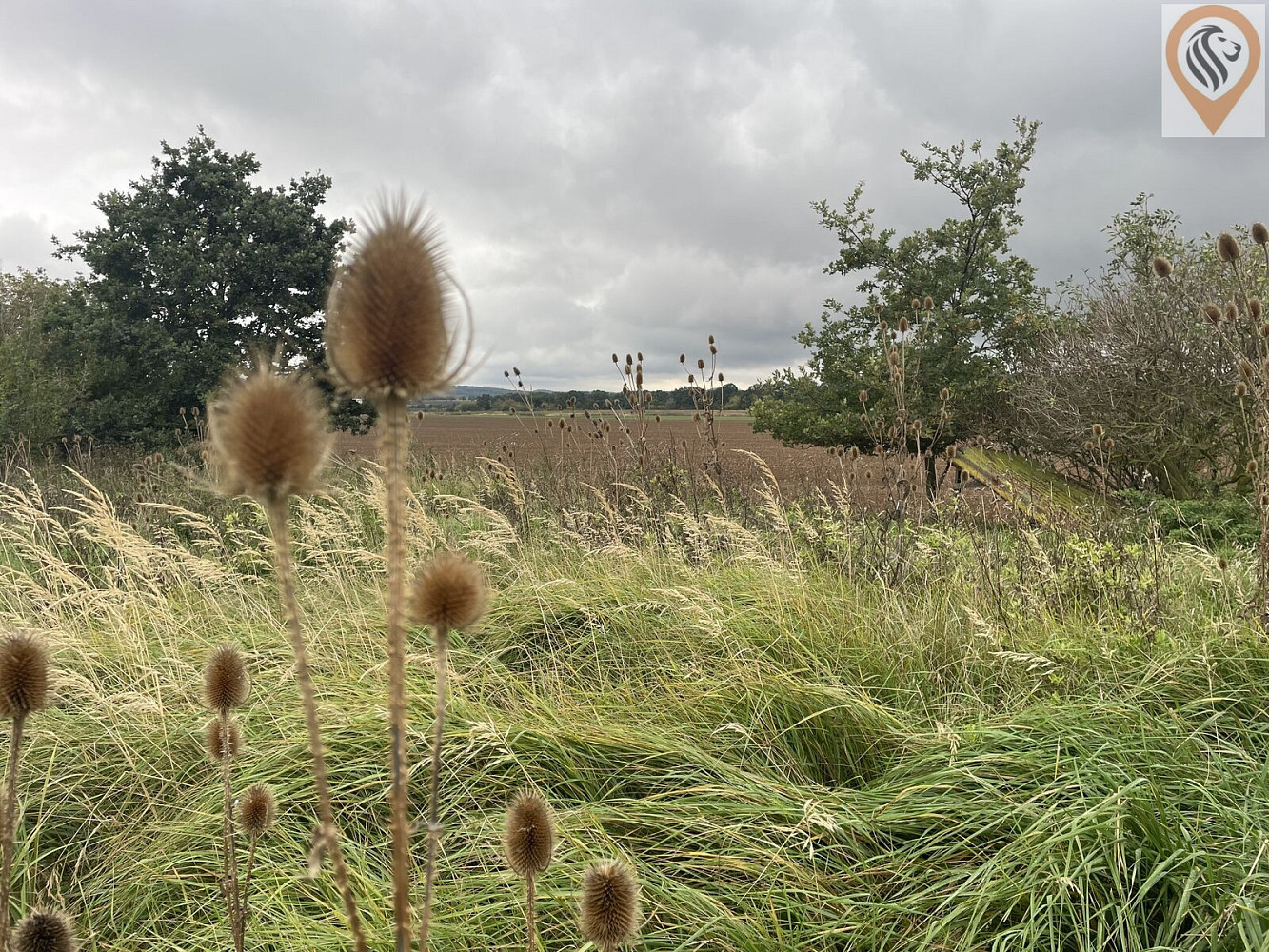 Prodej pole 51 051 m² – fotografie 5
