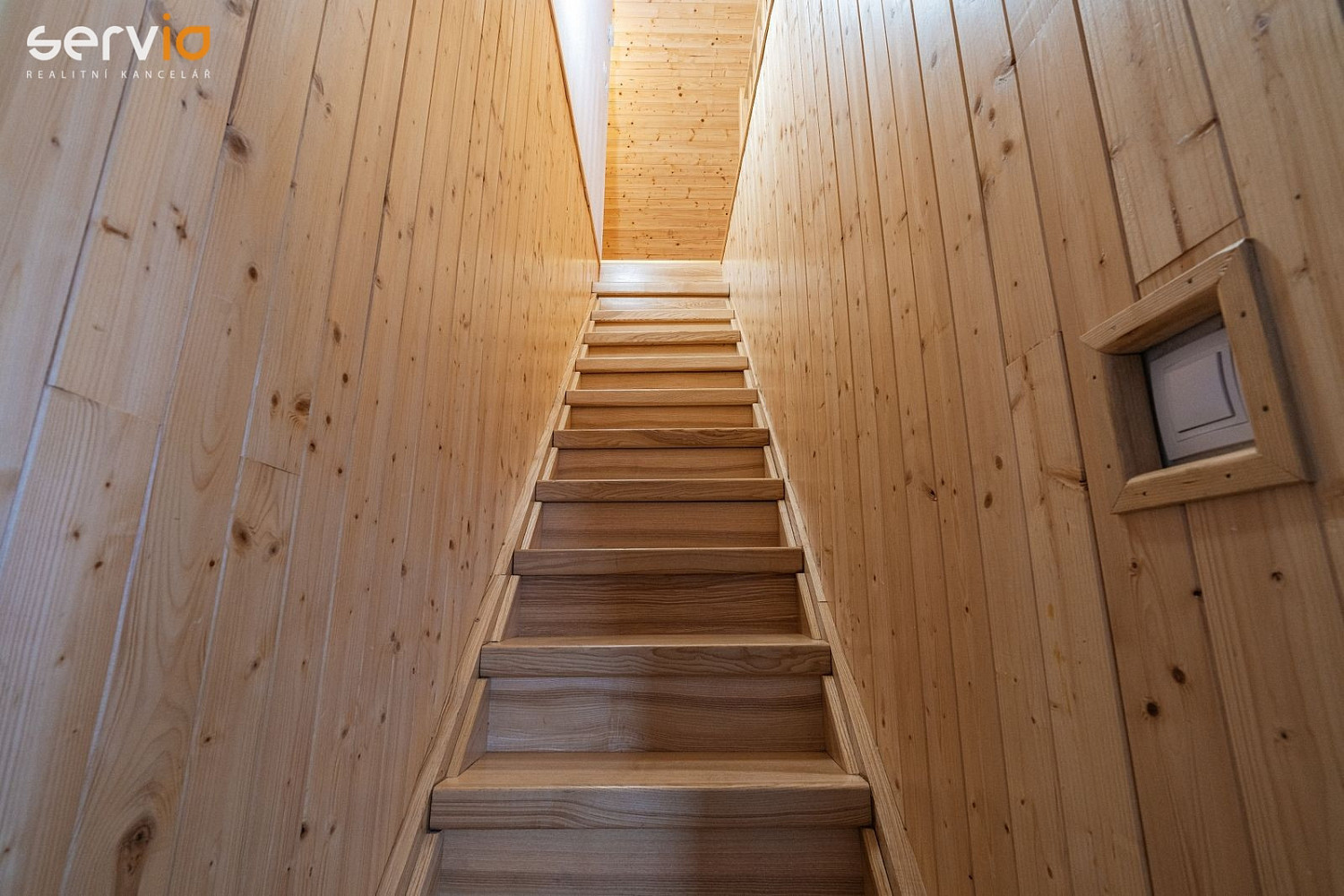 Fotka 8 z 15