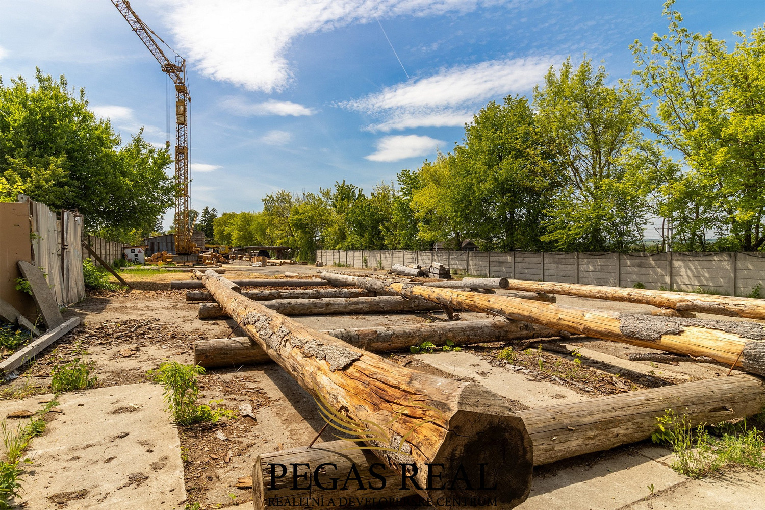 Pronájem výrobních prostor 6 455 m² – fotografie 5