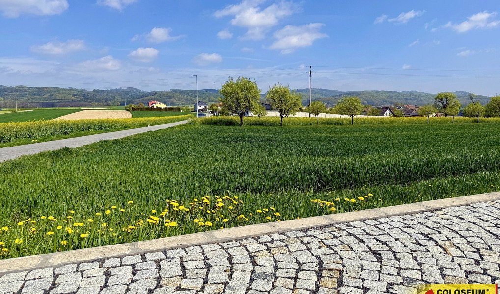 Prodej stavebního pozemku 3 940 m², Fryšták – náhled fotky 4