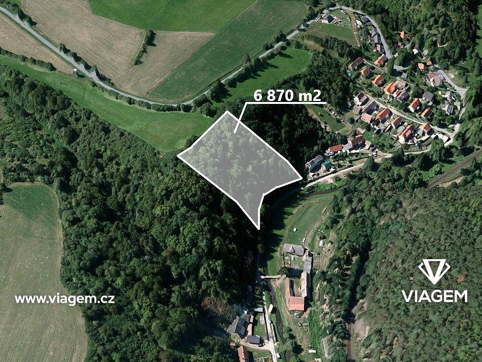 Prodej lesa 1 312 m²