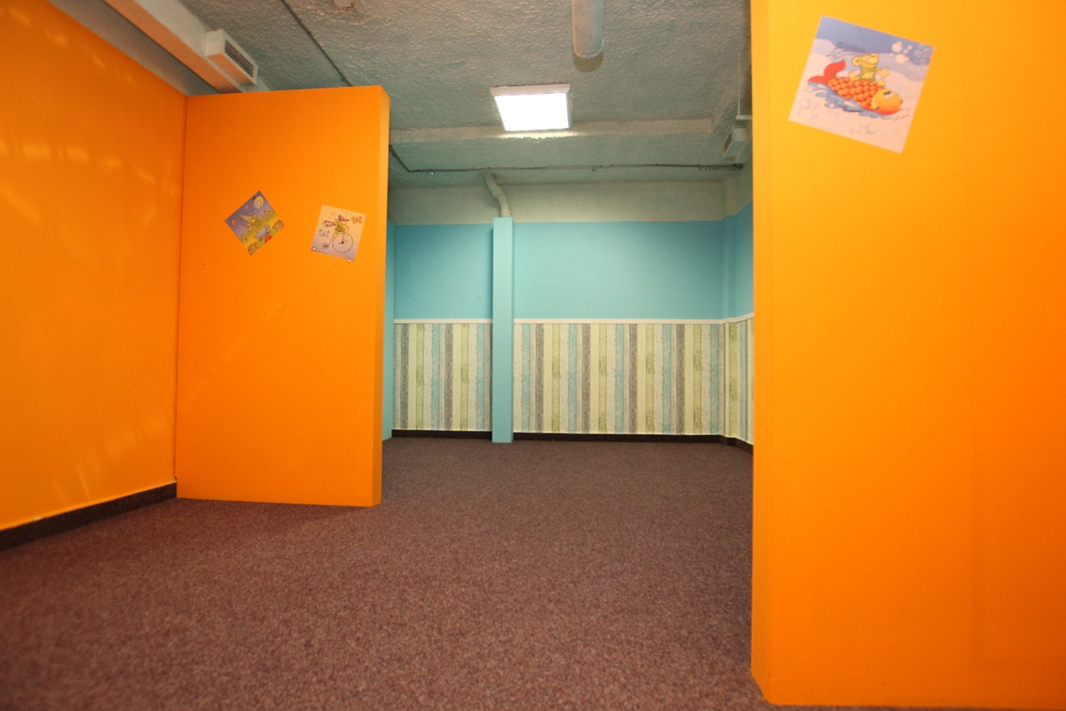Fotka 8 z 13