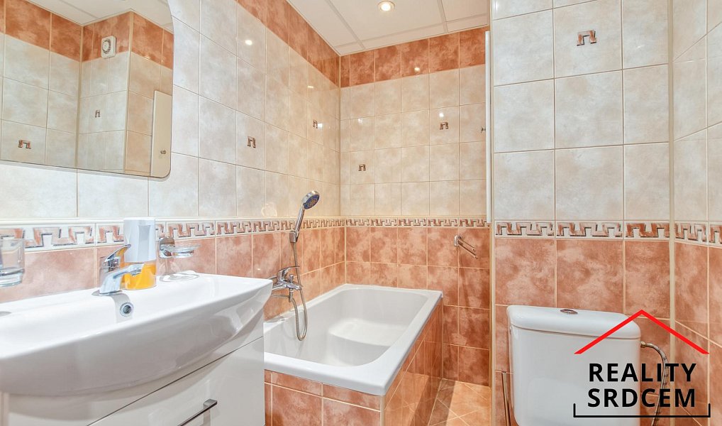 Prodej bytu 1+1 32 m², Karviná – náhled fotky 9