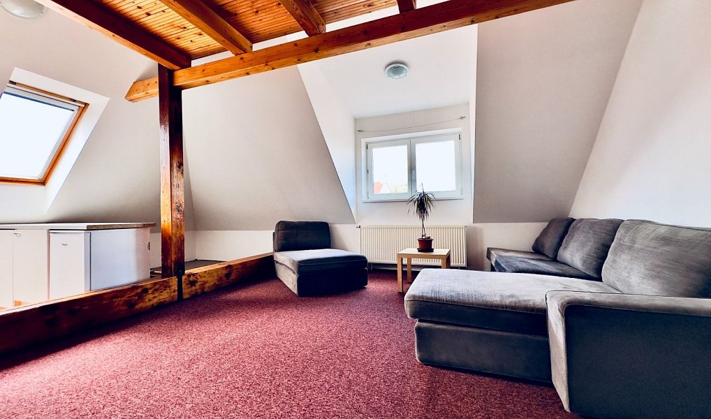 Pronájem bytu 1+kk, 45 m², Cheb