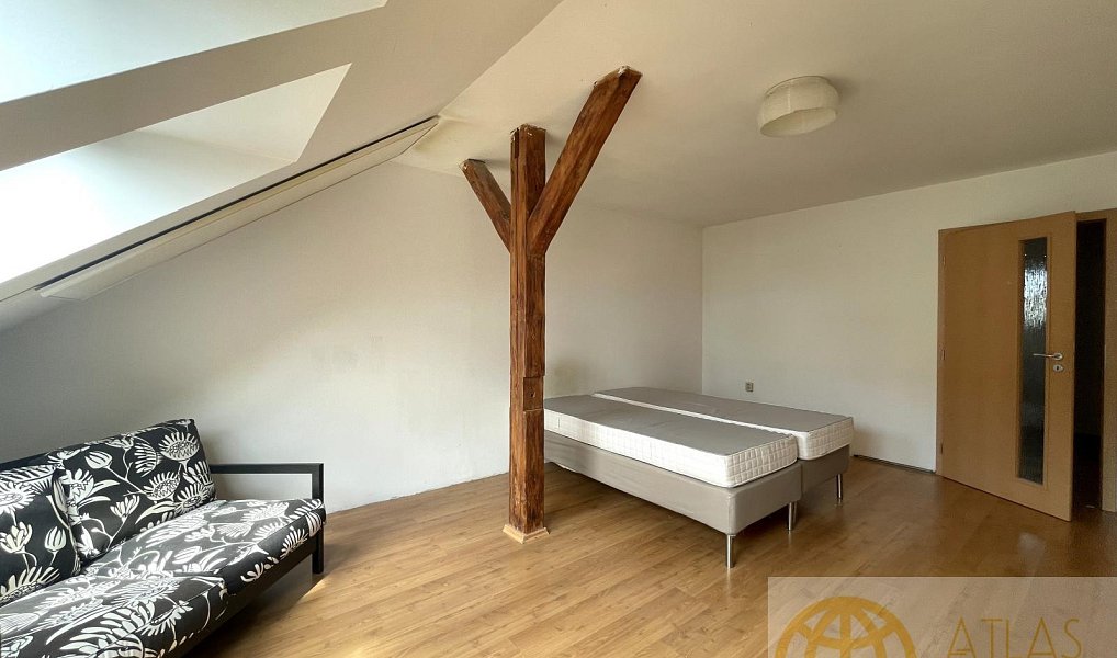 Pronájem bytu 2+1 85 m², Tábor – náhled fotky 4