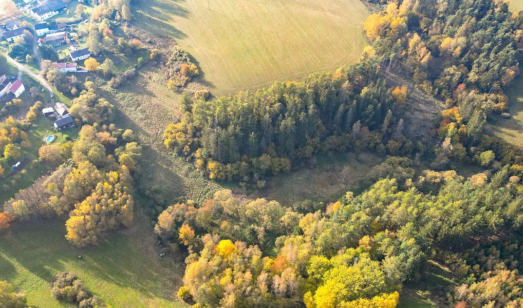 Prodej pozemku 15 970 m², Planá – náhled fotky 20