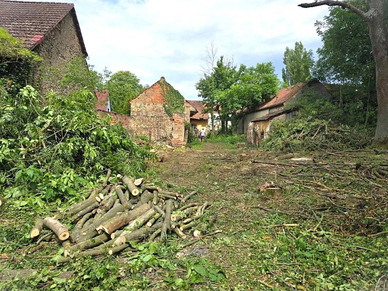 Prodej stavebního pozemku 2 338 m² – fotografie 4