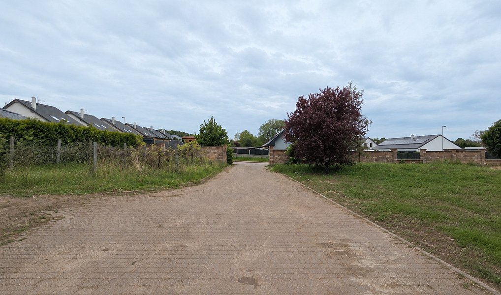 Prodej stavebního pozemku 3 871 m², Tršice – náhled fotky 7