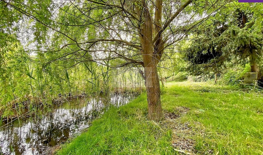Prodej zahrady 4 026 m², Brandýs nad Labem-Stará Boleslav – náhled fotky 5