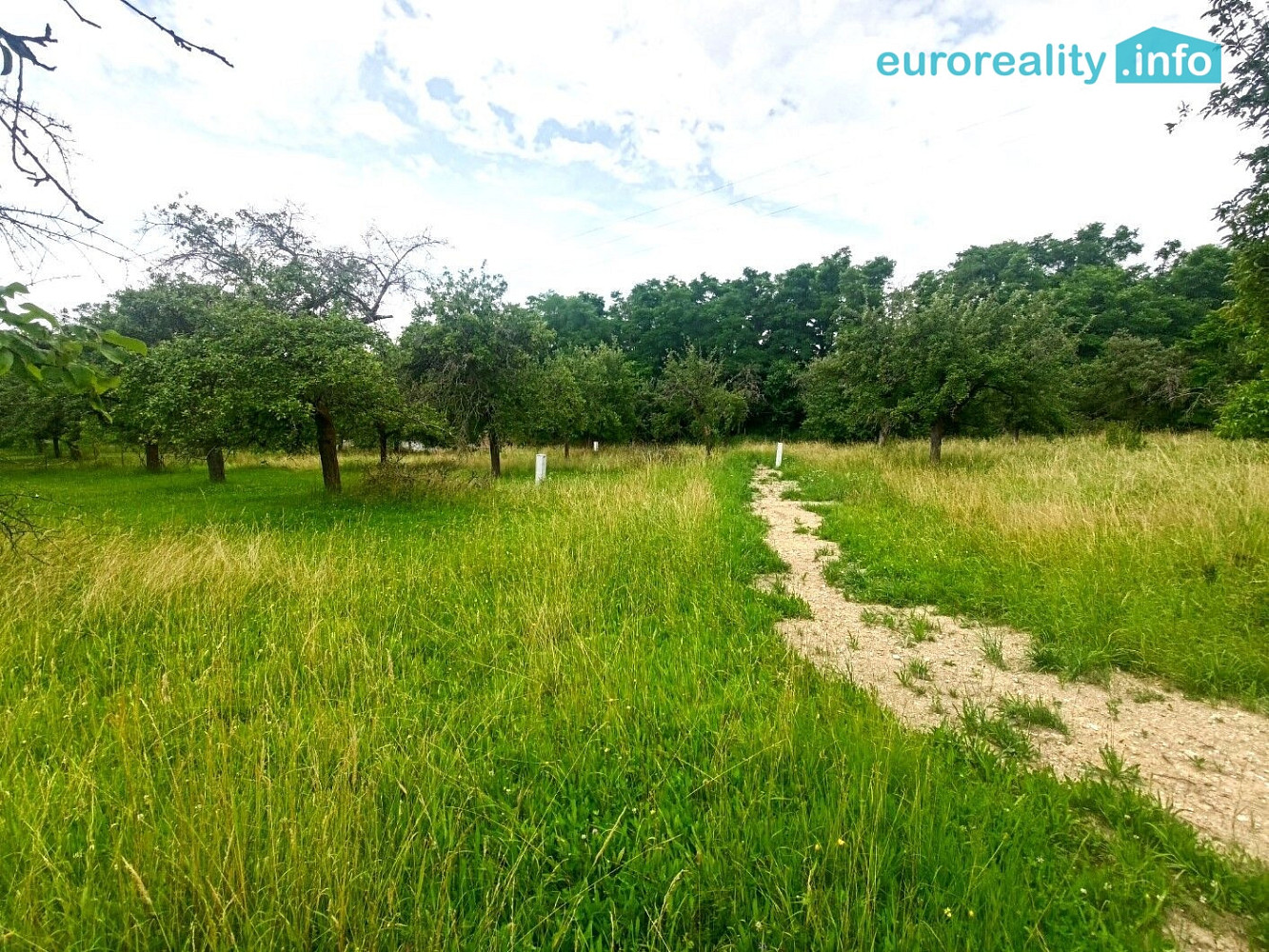 Prodej stavebního pozemku 747 m² - Więcej