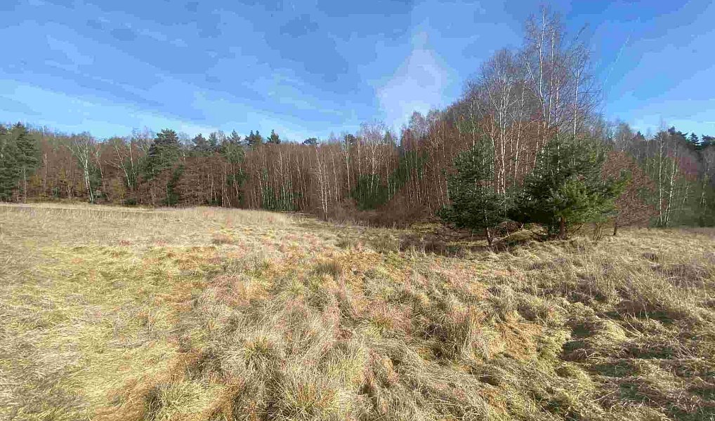 Prodej pole 15 408 m², Františkovy Lázně – náhled fotky 8