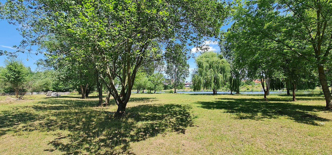 Prodej pozemku 10 828 m² – fotografie 3