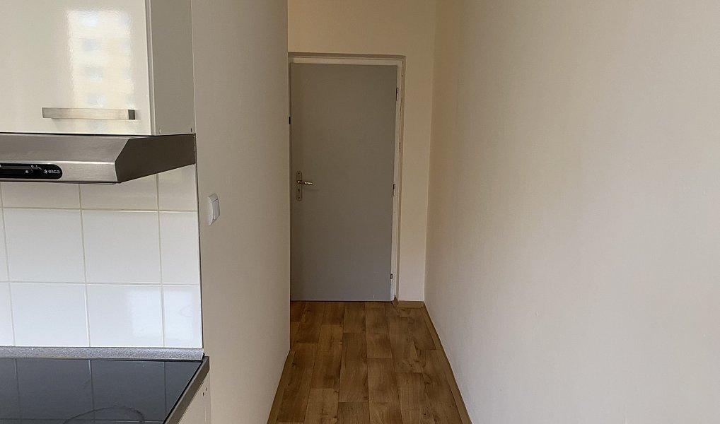 Pronájem bytu 1+1 40 m², Jirkov – náhled fotky 3