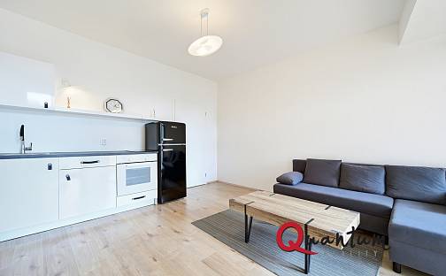 Prodej bytu 1+kk 25 m², Budějovická, Praha 4 - Krč
