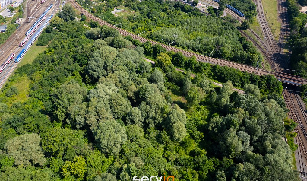 Prodej stavebního pozemku 8 257 m², Brno – náhled fotky 8