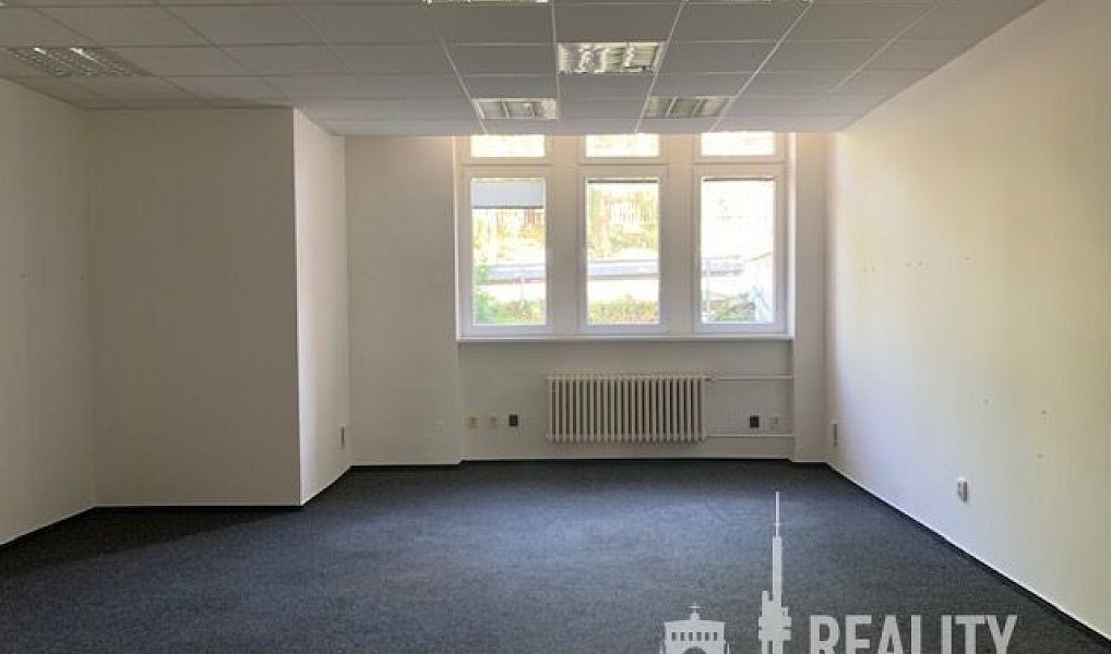 Pronájem kanceláře 347 m², Praha – náhled fotky 17