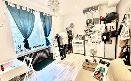 Pronájem bytu 1+kk 23 m², Kouřimská, Praha 3 - Vinohrady