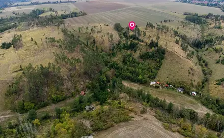 Prodej lesa 15 246 m², Vladislav - Střížov, okres Třebíč