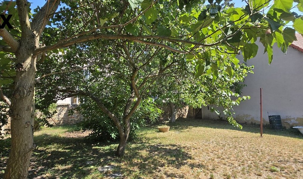 Prodej domu 140 m² s pozemkem 738 m², Dobroměřice – náhled fotky 21