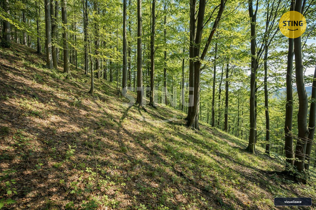 Fotka 17 z 20
