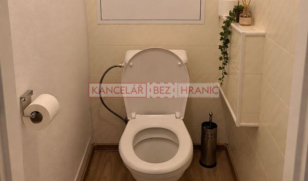 Pronájem bytu 1+kk 35 m², Praha – náhled fotky 7