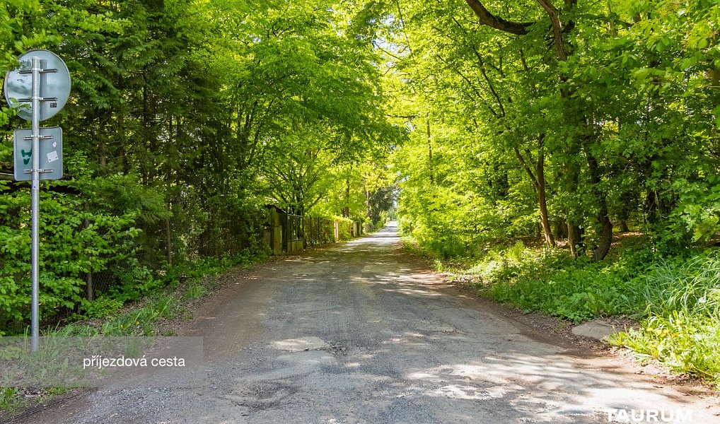 Prodej lesa 6 490 m², Petrov – náhled fotky 9