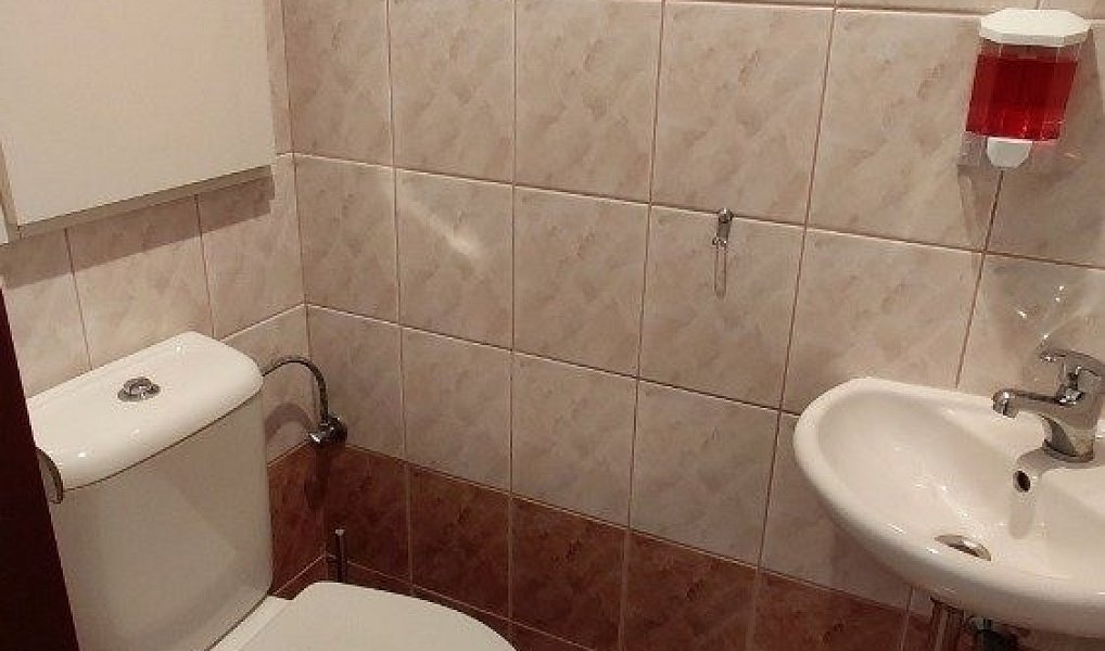 Pronájem bytu 3+1 59 m², Hradec Králové – náhled fotky 13