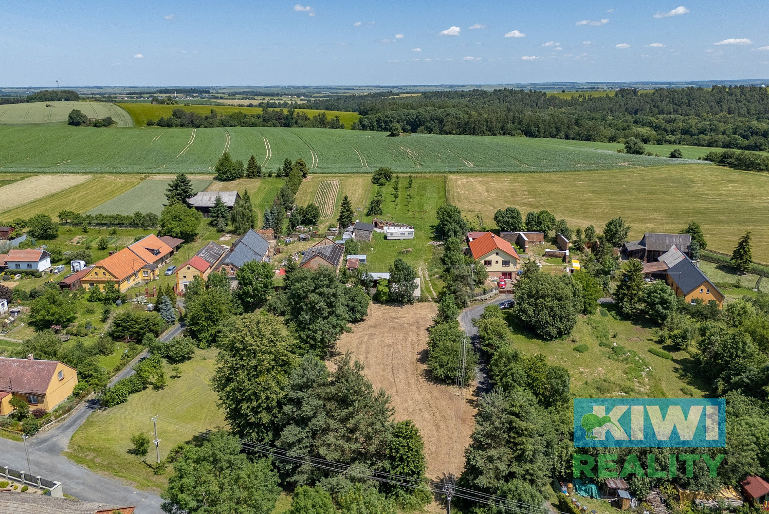 Fotka 11 z 17
