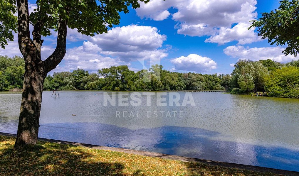 Prodej domu 444 m² s pozemkem 2 325 m², Vestec – náhled fotky 44