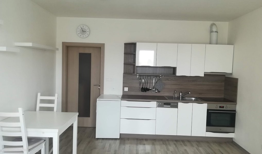 Pronájem bytu 1+kk 31 m², Plzeň – fotka 1 z 14