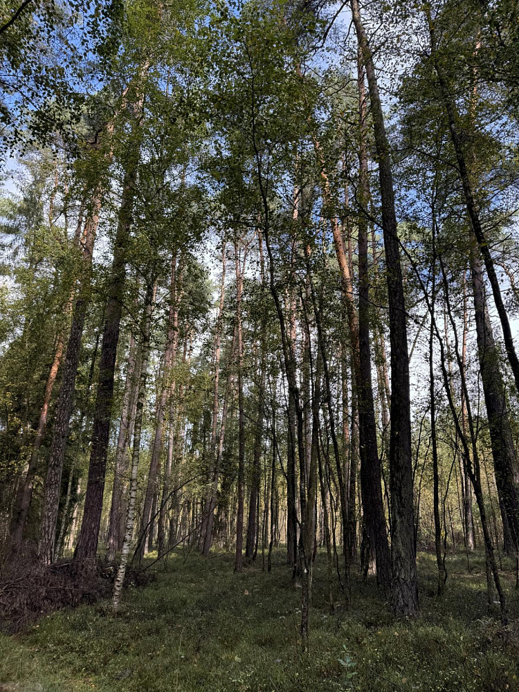 Fotka 6 z 14