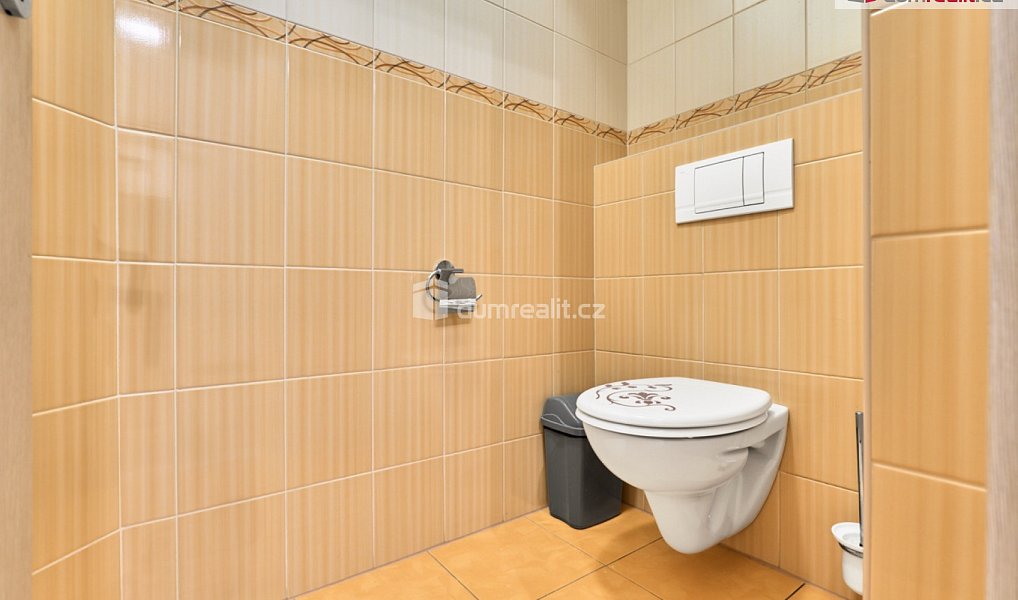 Prodej domu 570 m² s pozemkem 1 109 m², Chlum u Třeboně – náhled fotky 14