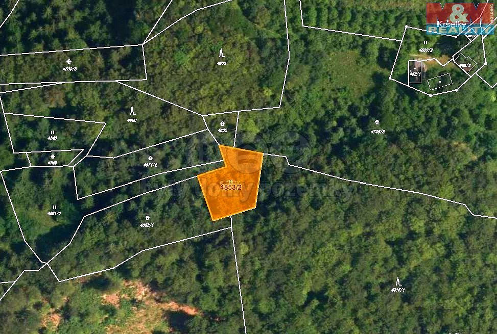 Prodej lesa 3 244 m² – pohled 3