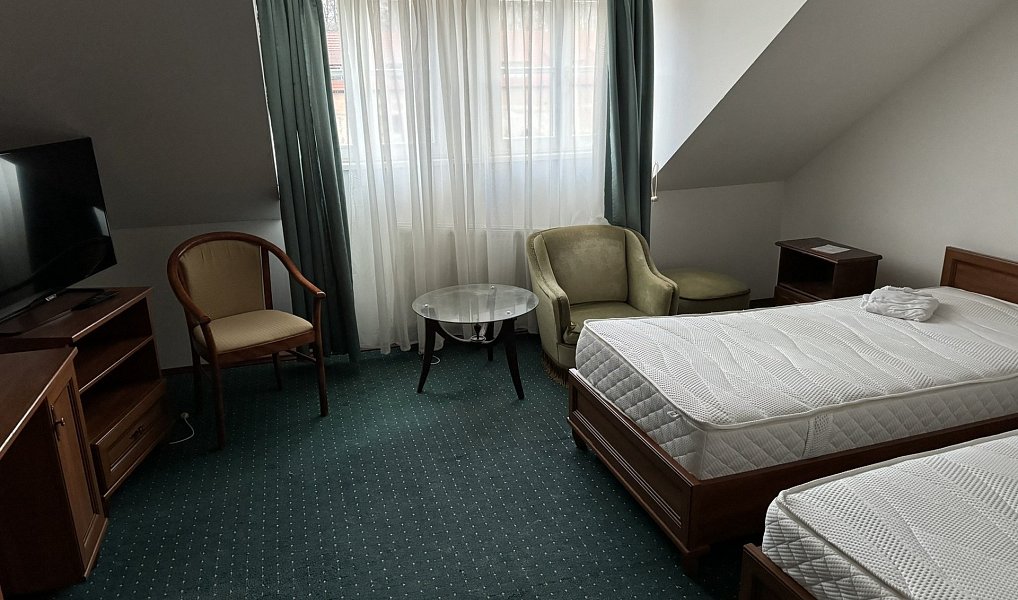 Prodej ubytovacího objektu 1 539 m², Lázně Kynžvart – náhled fotky 15