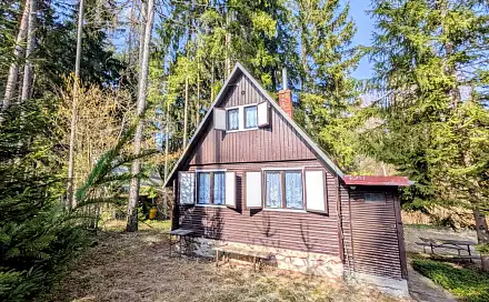 Prodej chaty/chalupy 47 m² s pozemkem 38 m², Dobrá Voda, okres Žďár nad Sázavou