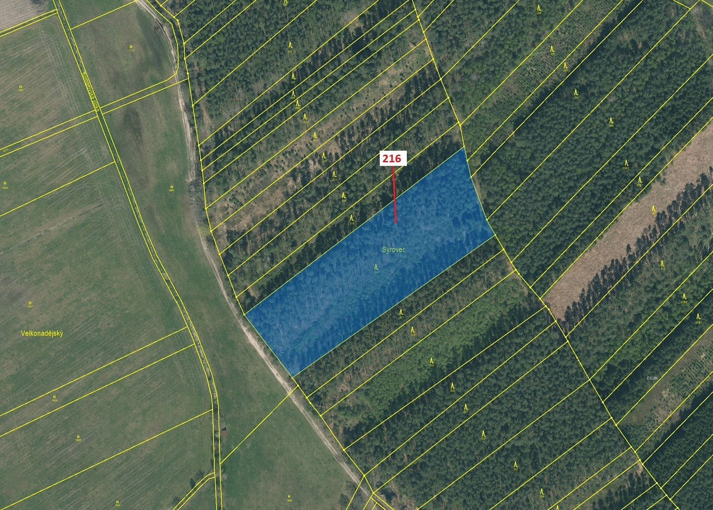 Dražba lesa 12 481 m² — photo 2