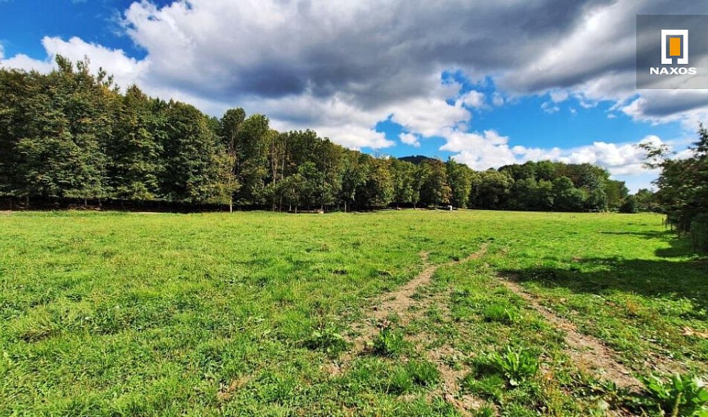 Prodej stavebního pozemku 1 633 m², Vyšní Lhoty – náhled fotky 6