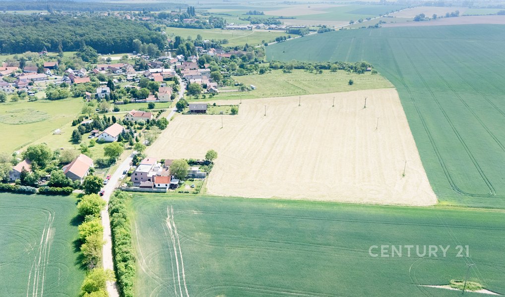 Prodej stavebního pozemku 5 553 m², Jizbice – náhled fotky 3