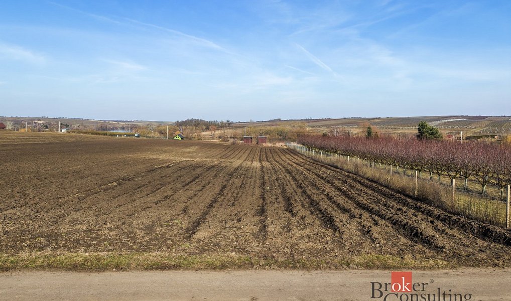 Prodej pozemku 2 791 m², Velké Bílovice – náhled fotky 15