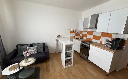 Pronájem bytu 1+1 35 m², Železničářská, Česká Lípa
