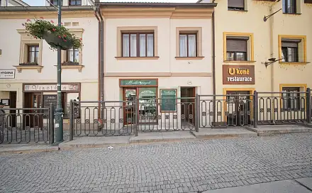Prodej domu 270 m² s pozemkem 317 m², Česká, Beroun - Beroun-Centrum