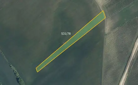 Prodej pole 18 463 m², Nový Poddvorov, okres Hodonín