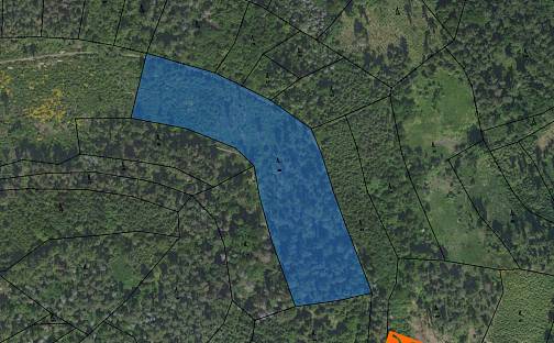Prodej lesa 1 483 m², Neveklov, okres Benešov