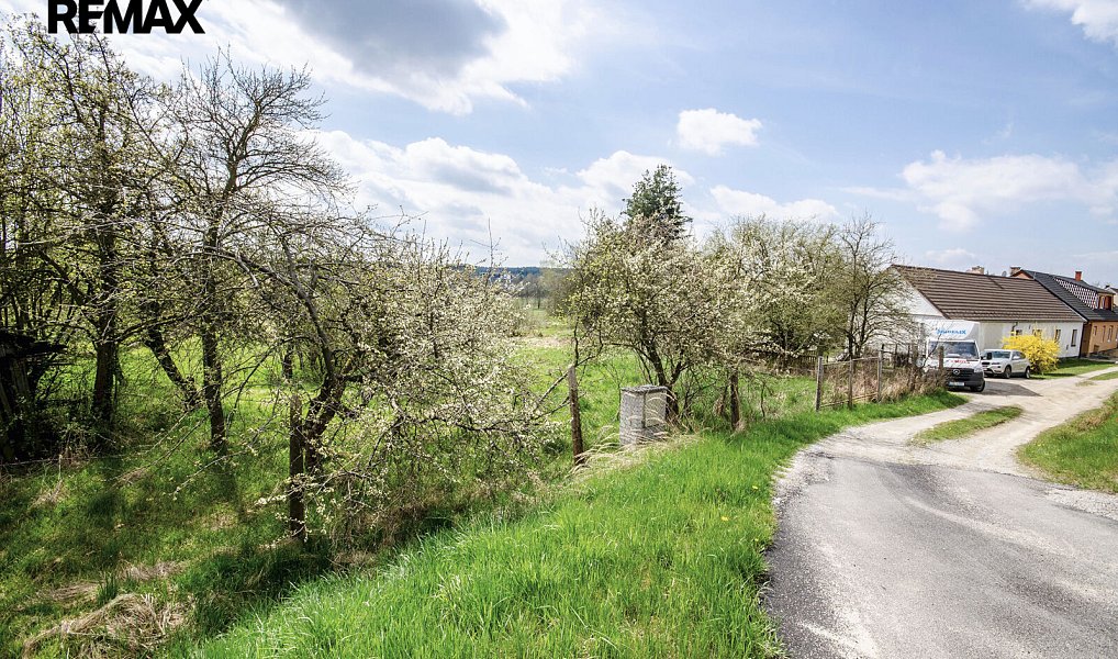 Prodej stavebního pozemku 9 720 m², Ševětín – náhled fotky 8