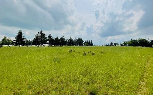 Prodej louky 1 427 m², Štoka, Unhošť, okres Kladno