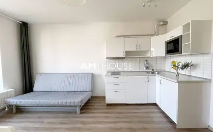 Pronájem bytu 1+kk 28 m², Nad úžlabinou, Praha 10 - Malešice