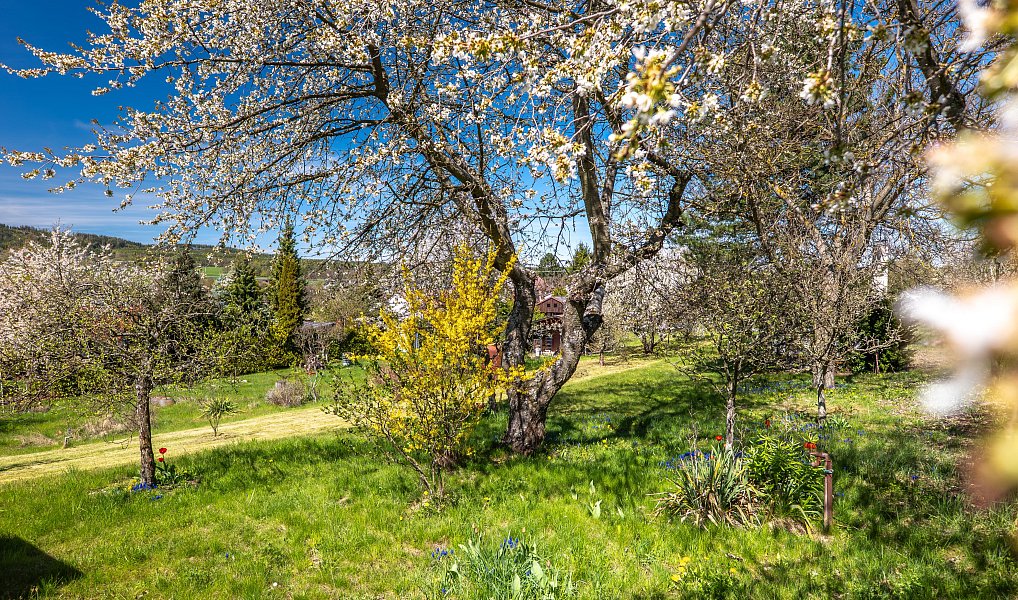 Prodej zahrady 707 m², Příbram – náhled fotky 4