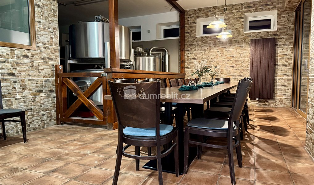 Prodej ubytovacího objektu 908 m², Topolná – náhled fotky 18