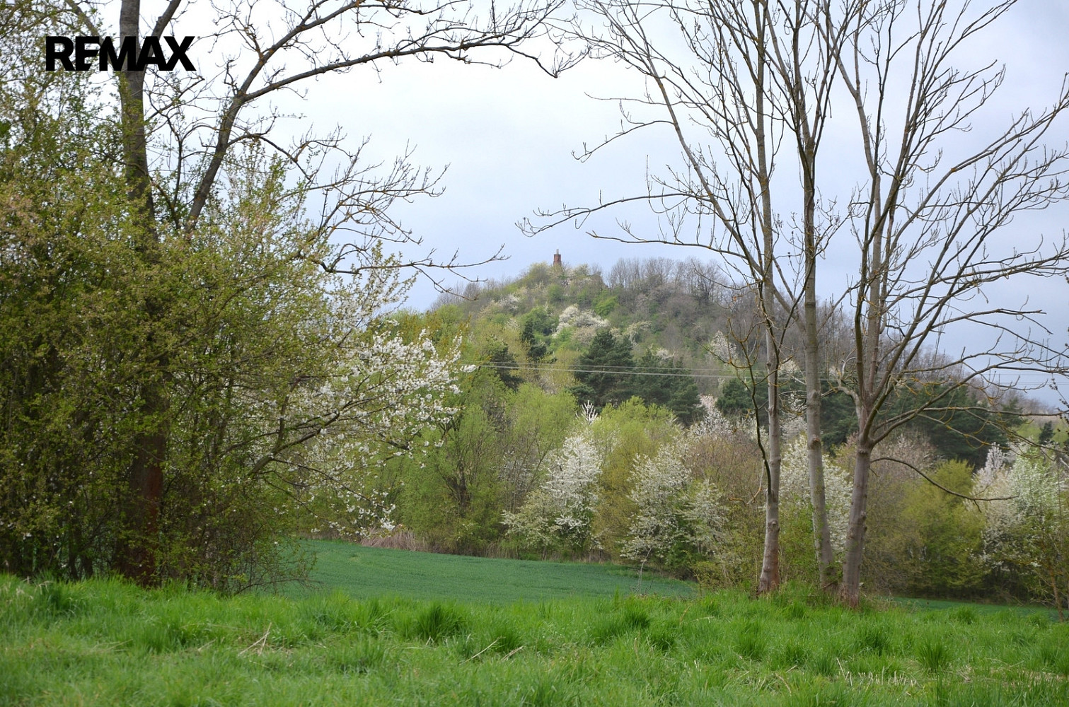 Prodej louky 744 m²